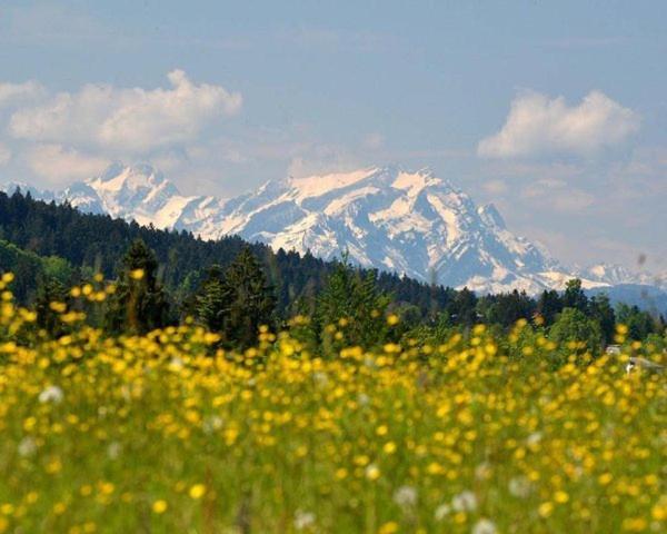 Ferienwohnung Pickenhan Scheidegg Buitenkant foto