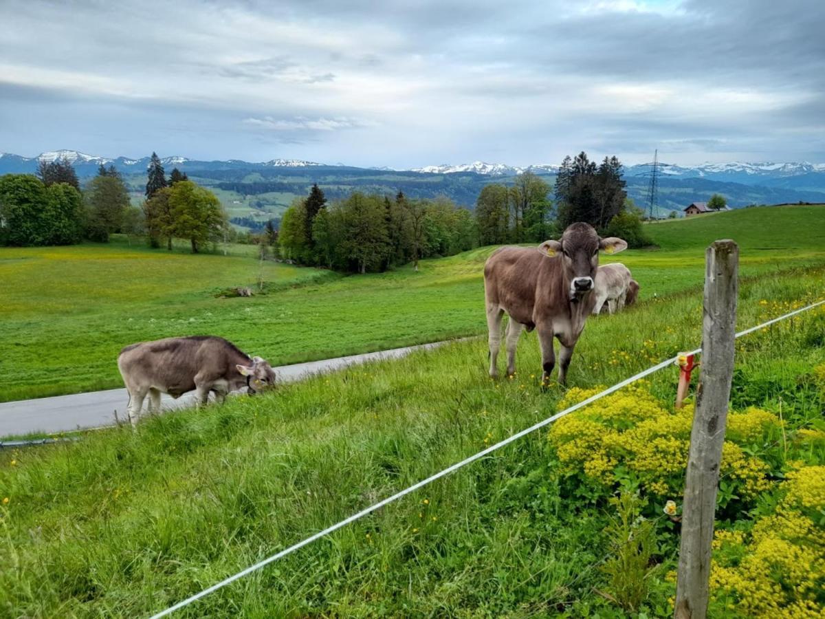 Ferienwohnung Pickenhan Scheidegg Buitenkant foto