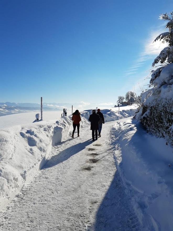 Ferienwohnung Pickenhan Scheidegg Buitenkant foto