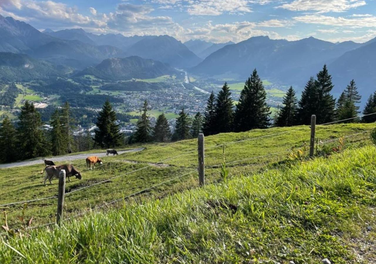 Ferienwohnung Pickenhan Scheidegg Buitenkant foto
