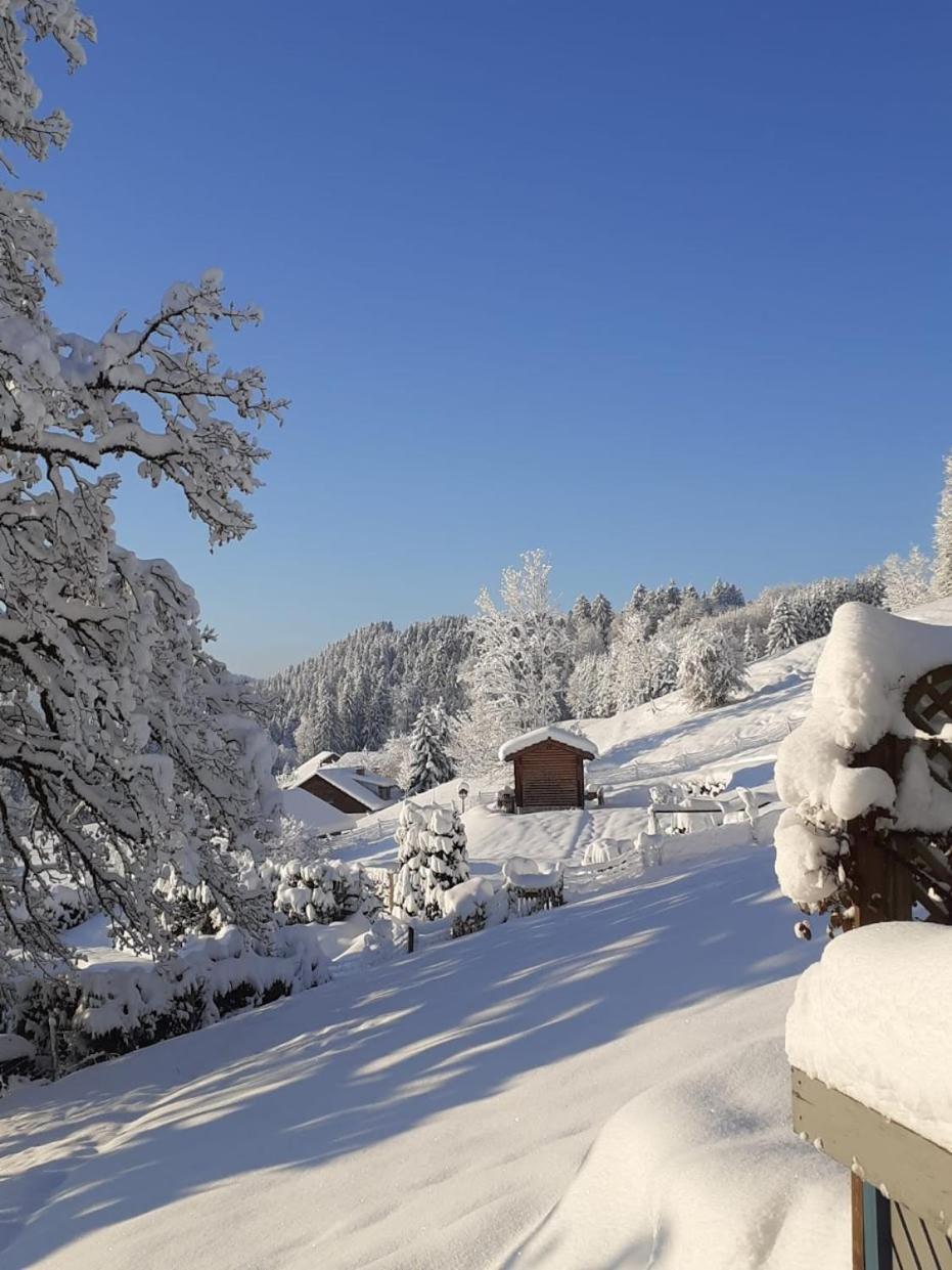 Ferienwohnung Pickenhan Scheidegg Buitenkant foto